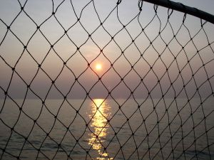 800px-Lake_Erie_Sunset_with_fish_net